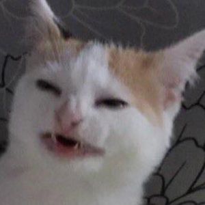 Meet your Posher, Richelle